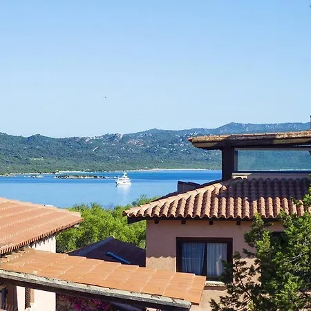 Bouganville