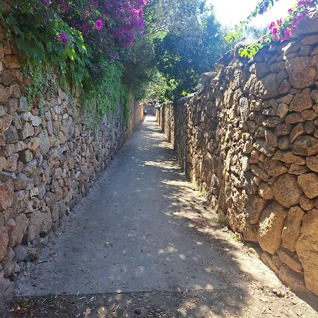 Διαμέρισμα Bouganville *
