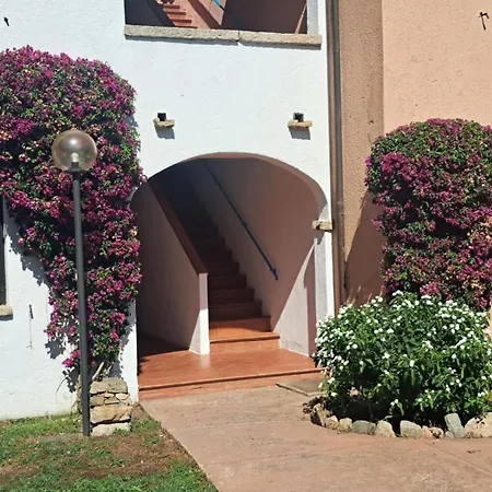 Bouganville