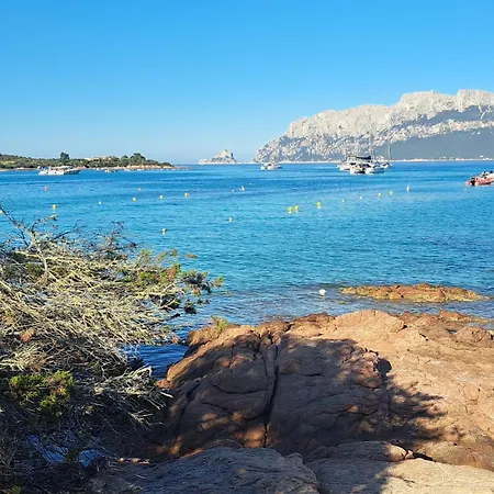 Bouganville * Porto Rotondo