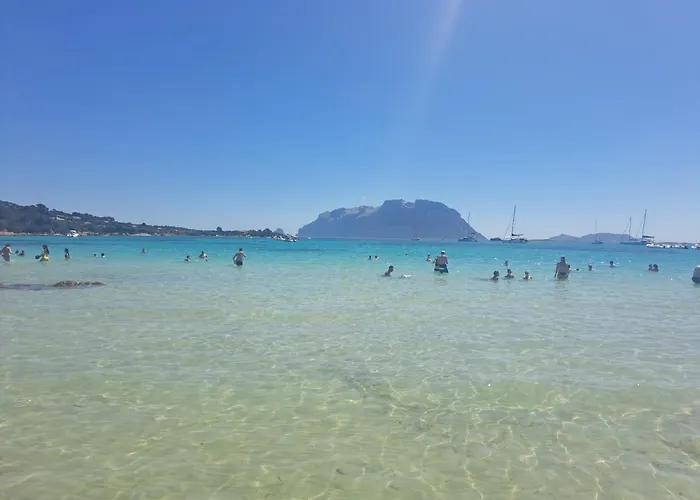 Apartamento Appartamenti Bouganville Porto Rotondo